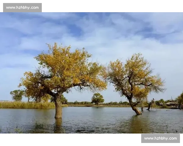 洪流中的脊梁：担当与温情铸就生命防线